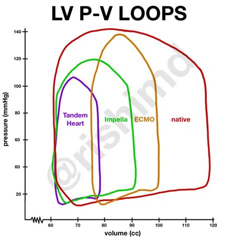 lv pressure volume loop|pressure volume loop left ventricle.